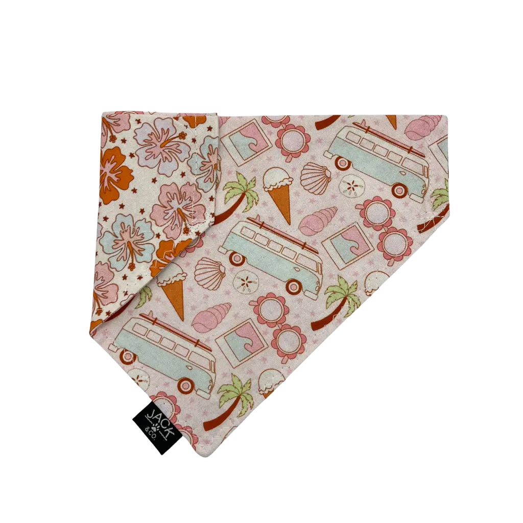 Beach (Pass-Collar, X-Small, Do not add)