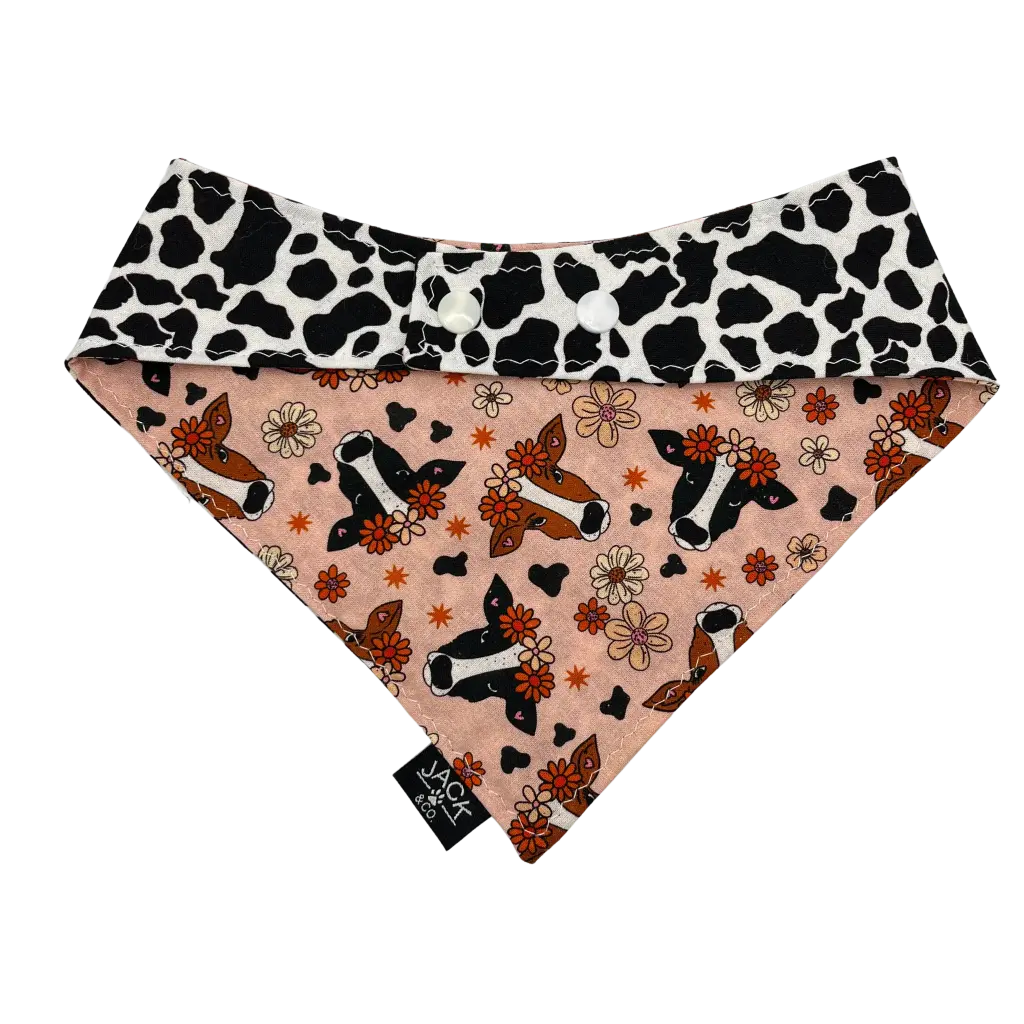 Vache Laitière (Passe-Collier, X-Small, Ne pas ajouter)