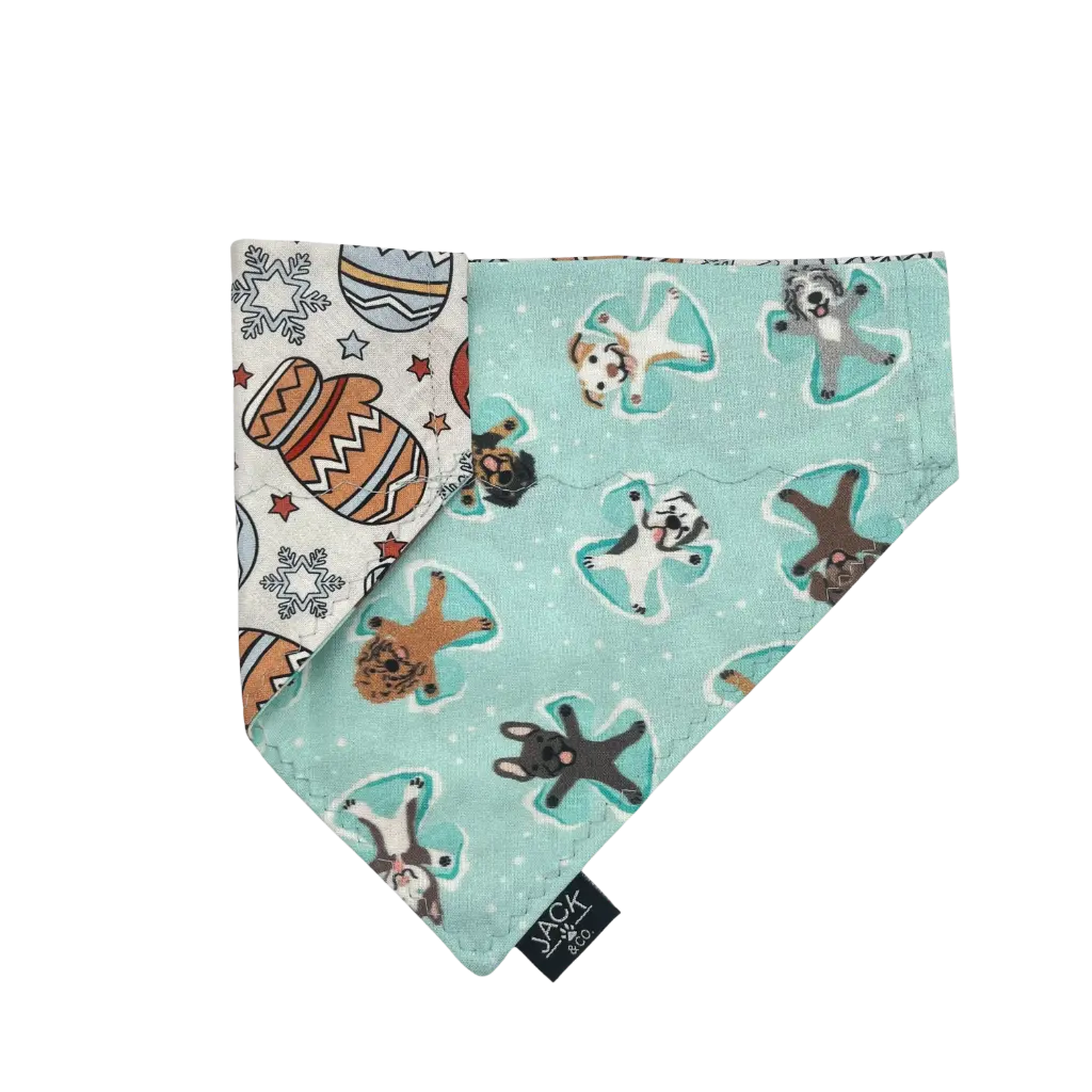 Pattes Enneigées (Passe-Collier, X-Small, Ne pas ajouter)