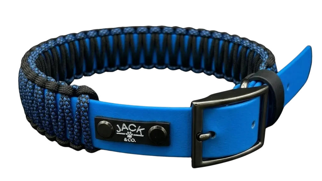 BioCorde | Bleu