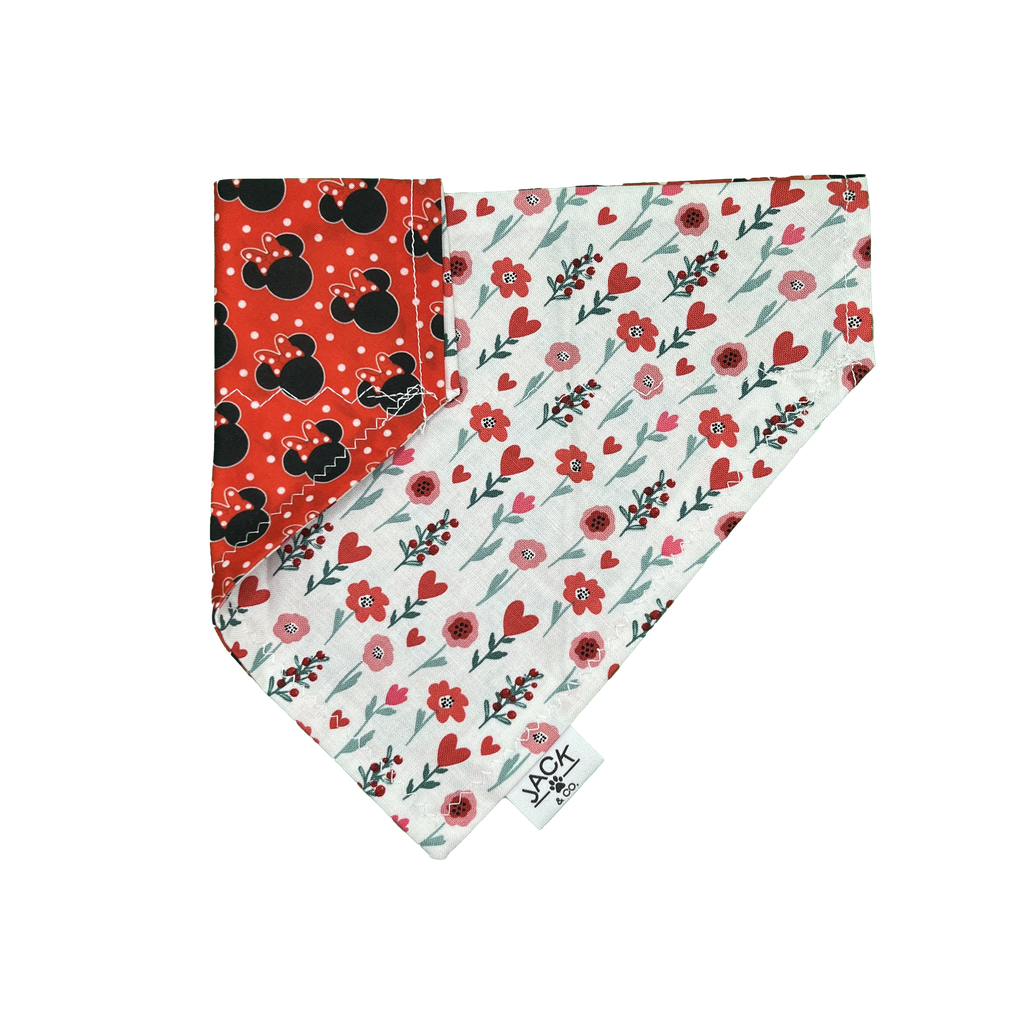 Minnie Mouse (Pass-Collar, X-Small, Do not add)