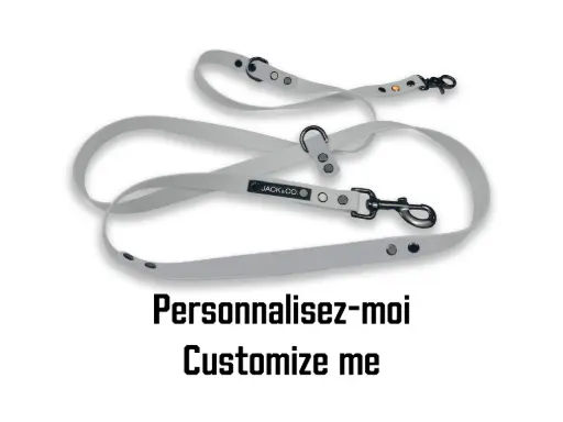 Multi-Function Leash