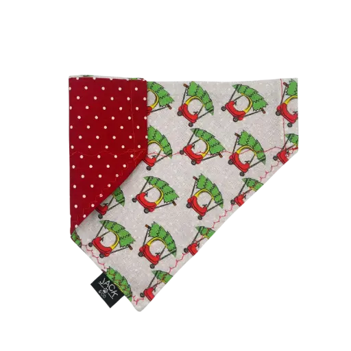 Christmas Tree Express